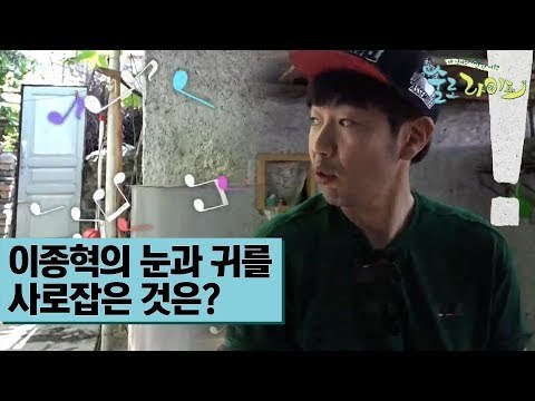 이종혁의 눈과 귀를 사로잡은 것은? [술로라이프] 2회