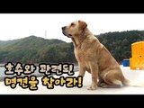 신지, 호수와 관련된 명견을 찾아라! [팔도견문록 시즌3] 7회