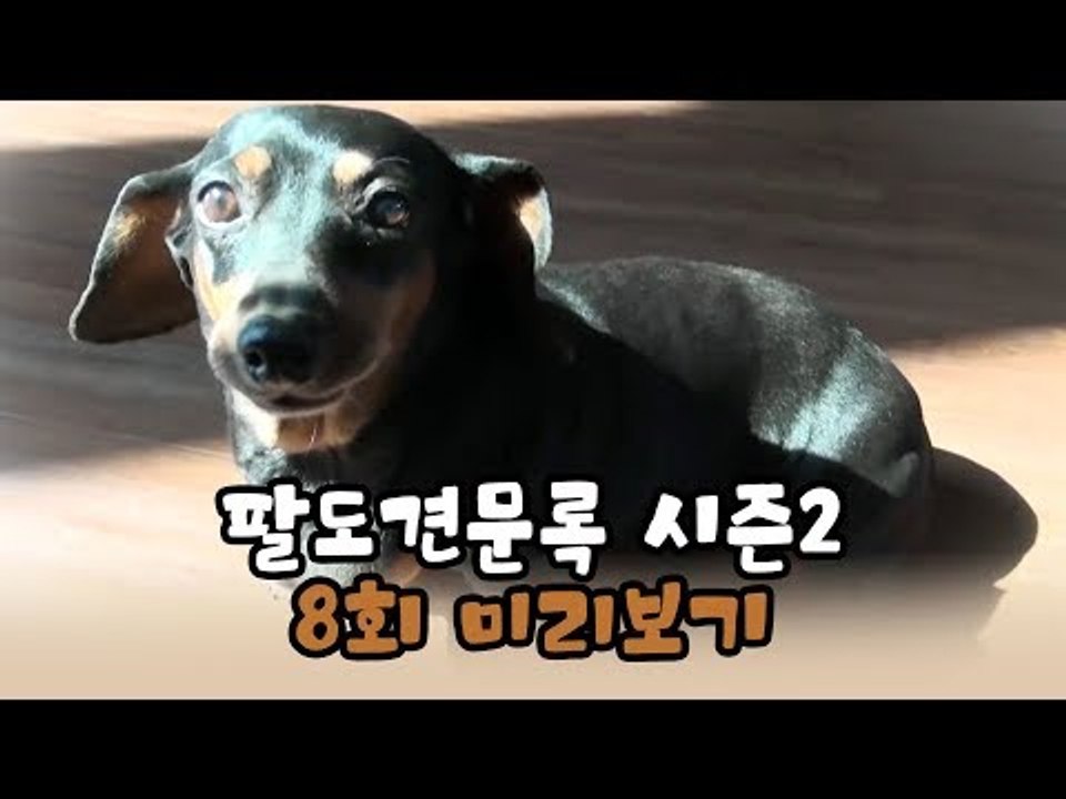 [8회 예고] 윤형빈의 팔도견문록 시즌2, 11월 23일 (월) 밤 11시