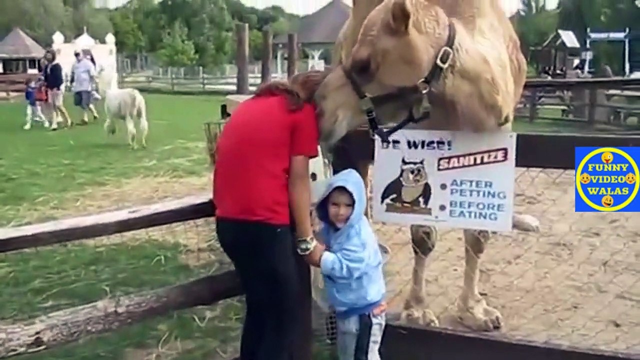 FUNNY VIDEO ep 96