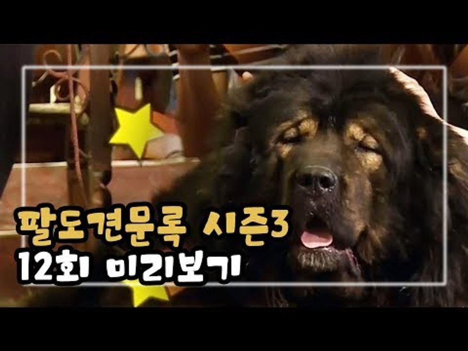 [12회 예고] 팔도견문록 시즌3, 우리 동네 인기스타의 매력 발산!