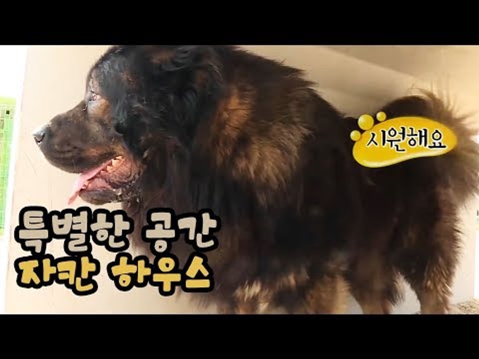 아주 특별한 공간, 자칸하우스 [팔도견문록 시즌3] 12회