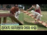 강아지 유치원의 야외 수업 [잘살아보시개 시즌2] 27회