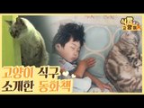 고양이 식구들을 소개한 동화책 [식빵굽는 고양이] 3회