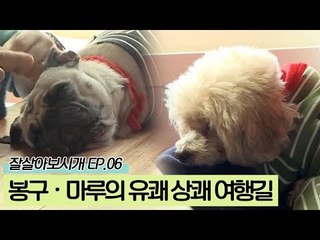 봉구와 마루의 유쾌 상쾌한 여행길 [잘살아보시개 시즌2] 6회