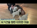 유기견을 향한 순란 씨의 따뜻한 마음 [잘살아보시개 시즌2] 15회