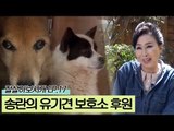 송란부부가 방문한 유기견 보호소 [잘살아보시개 시즌2] 17회