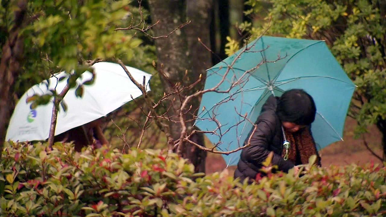 [날씨] 비 그치자 찬 바람...21년 만의 4월 폭설 / YTN