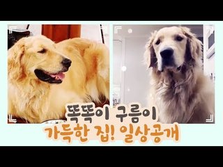 똑똑이 구름이 가득한 집! 일상 공개 [개별방송] 2회