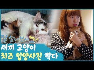 새끼 고양이 치즈 입양사진 찍다 [잘살아보시고] 2회 예고