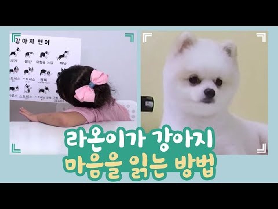 라온이가 강아지 마음을 읽는 방법 [개별방송] 6회