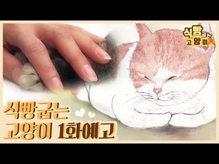 [1회 예고] 식빵굽는 고양이, 식빵 굽는 고양이를 아시나요?
