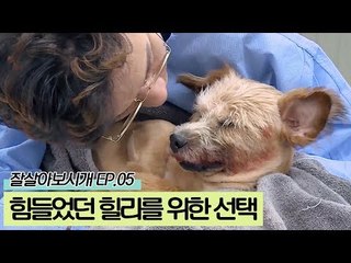 힘든 상황을 겪은 힐리의 행복을 위한 선택 [잘살아보시개 시즌2] 5회