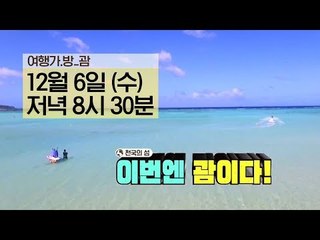 [4회 예고] 푸른 바닷속에 담긴 놀라운 이야기