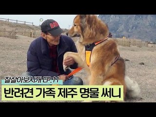 아들, 친구같은 반려견가족 제주명물 써니 [잘살아보시개 시즌2] 11회