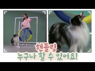 핸들링, 누구나 할 수 있어요~ [개별방송] 9회