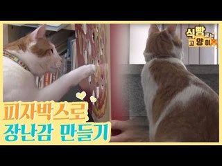 피자박스로 고양이 장난감 만들기 #꿀팁 [식빵굽는 고양이] 20회