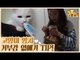 고양이 양치 거부감 없애는 TIP & 고양이 스카프 [식빵굽는 고양이 시즌2] 26회