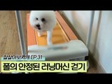 폴의 안정된 러닝머신 걷기 [잘살아보시개 시즌2] 31회