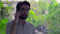 Do Bol Episode 12 _ 9th April 2019 _ ARY Digital Drama