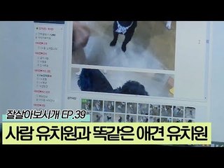 사람 유치원과 똑같은 애견 유치원의 마무리