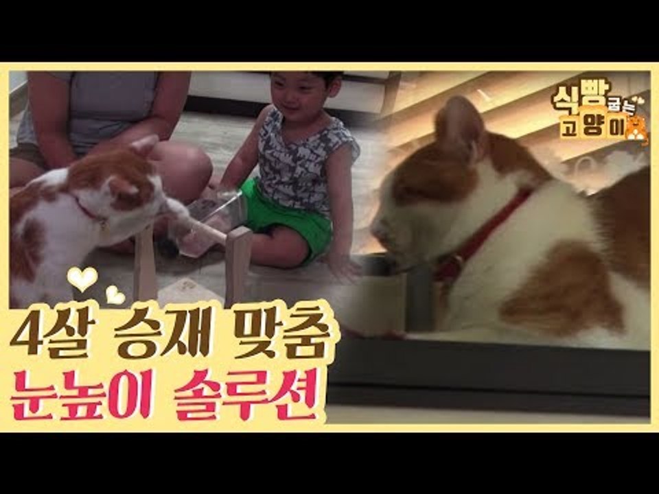 4살 승재를 위한 눈높이 솔루션 [식빵굽는 고양이] 6회