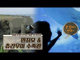 강력 추천! 오키나와 필수 관광코스 ‘만좌모&츄라우미 수족관’