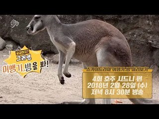 [4회 예고] 할 것도, 볼 것도, 먹을 것도 많은 ‘시드니 in 호주’