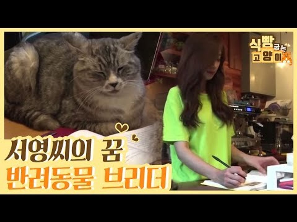서영씨의 새로운 꿈, 반려동물 브리더 [식빵굽는 고양이] 8회
