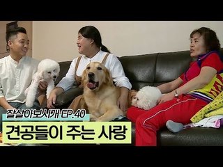 가족에게 사랑을 선물한 달이&콩이&도담이