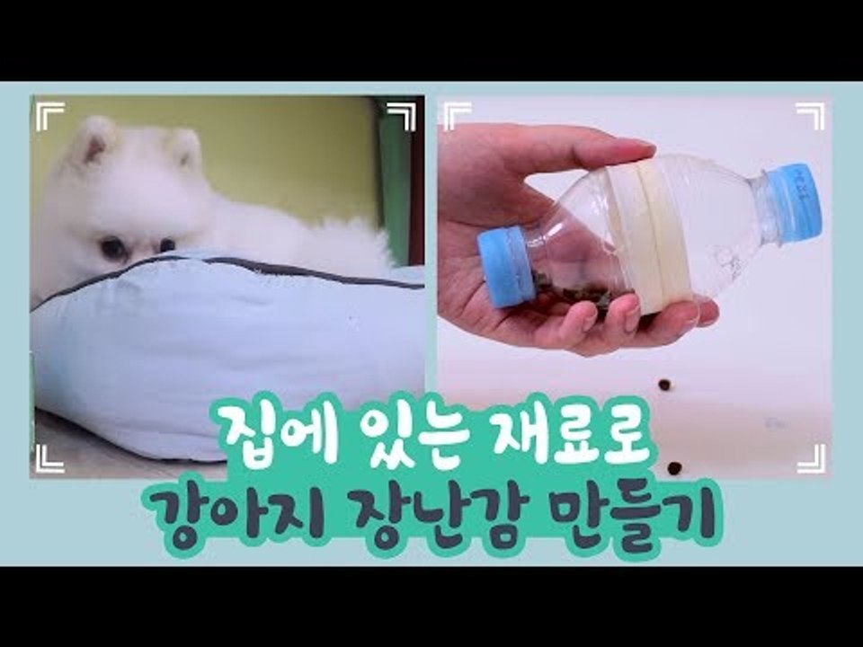 집에 있는 재료로 강아지 장난감 만들기 [개별방송] 11회
