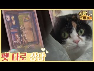 애니멀 커뮤니케이션 펫 타로 상담을 통한 조언 [식빵굽는 고양이] 23회