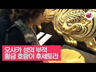오사카 성을 지켜주는 부적, 황금 호랑이 후세토라 [윤하, 일본을 담다] 6회