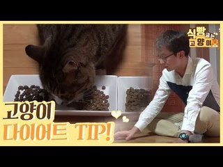호석 씨에게 배우는 고양이 다이어트 TIP [식빵굽는 고양이] 16회