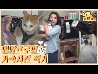 입양 프로필, 가족사진을 찍는 모녀 집사네 [식빵굽는 고양이] 18회