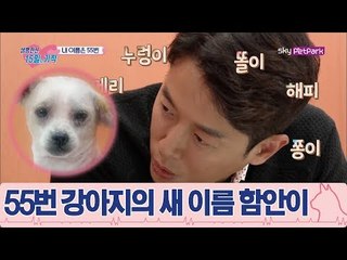 이름 없는 55번에게 주어진 이름 '함안이'