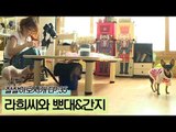 행복한 뜨개질쟁이 라희 씨와 뽀대&간지 [잘살아보시개 시즌2] 35회