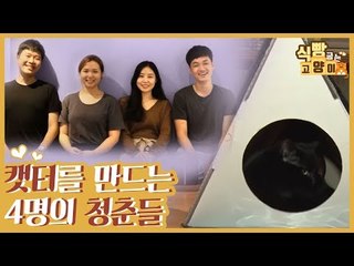길고양이로 뭉친 캣터를 지어주는 4명의 청춘들! [식빵굽는 고양이] 24회