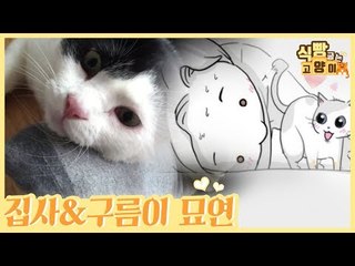 첫 눈에 마음을 연 집사와 구름이의 묘연 [식빵굽는 고양이 시즌2] 28회