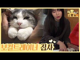보컬 트레이너를 집사로 둔 냥이들의 흔한 일상 [식빵굽는 고양이 시즌2] 29회