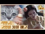 [31회 예고] 식빵굽는 고양이 시즌2, 은둔 고양이 행동수정 & 유튜버 꽁지와 척척·박사의 케미