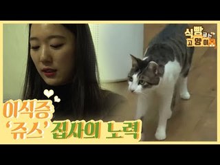 이식증 쥬스의 문제 행동을 위한 집사의 노력 [식빵굽는 고양이 시즌2] 25회