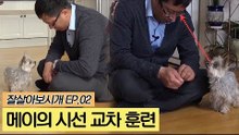 메이의 시선 교차 훈련 [잘살아보시개] 2회