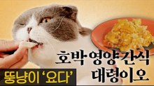 호박 영양 간식을 사수하라! [내가 조선의 요다다] 2회