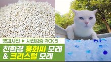 친환경 소재 홍화씨 모래 & 비주얼 갑 크리스털 모래 [펫과사전] 3회