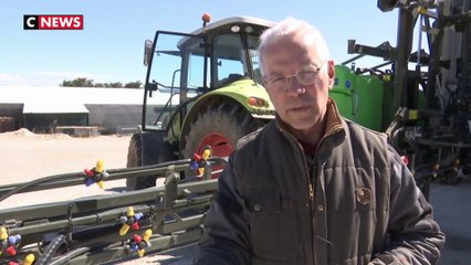 Alpes de Haute-Provence : la dernière pouponnière pour tulipes hollandaises