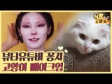 뷰티유튜버 꽁지의 고양이 메이크업 [식빵굽는 고양이 시즌2] 31회