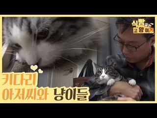 키다리 아저씨의 고양이들을 소개합니다♥ [식빵굽는 고양이] 21회