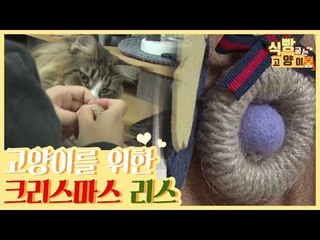 고양이를 위한 크리스마스 리스 장난감 만들기 [식빵굽는 고양이] 18회