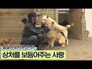 상처받은 유기견들을 사랑으로 보살피는 유원 씨